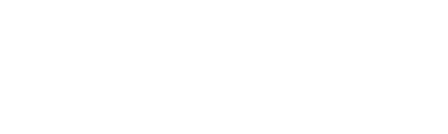 Saudi Airlines Saudia