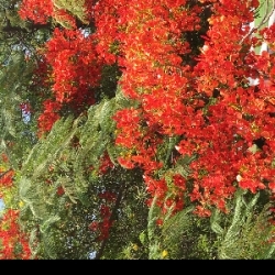 کاربر لست سکند