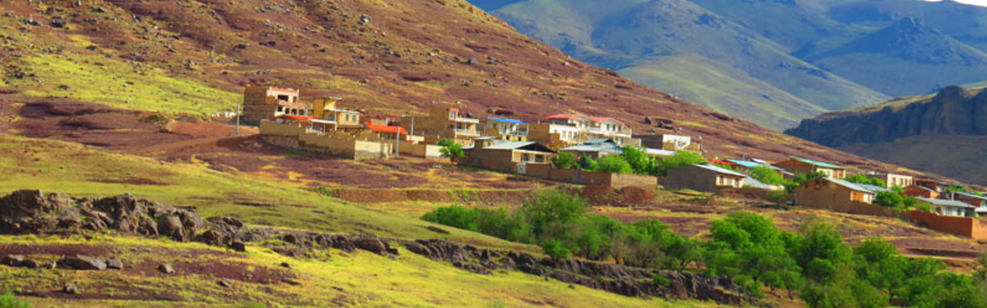 جاسب