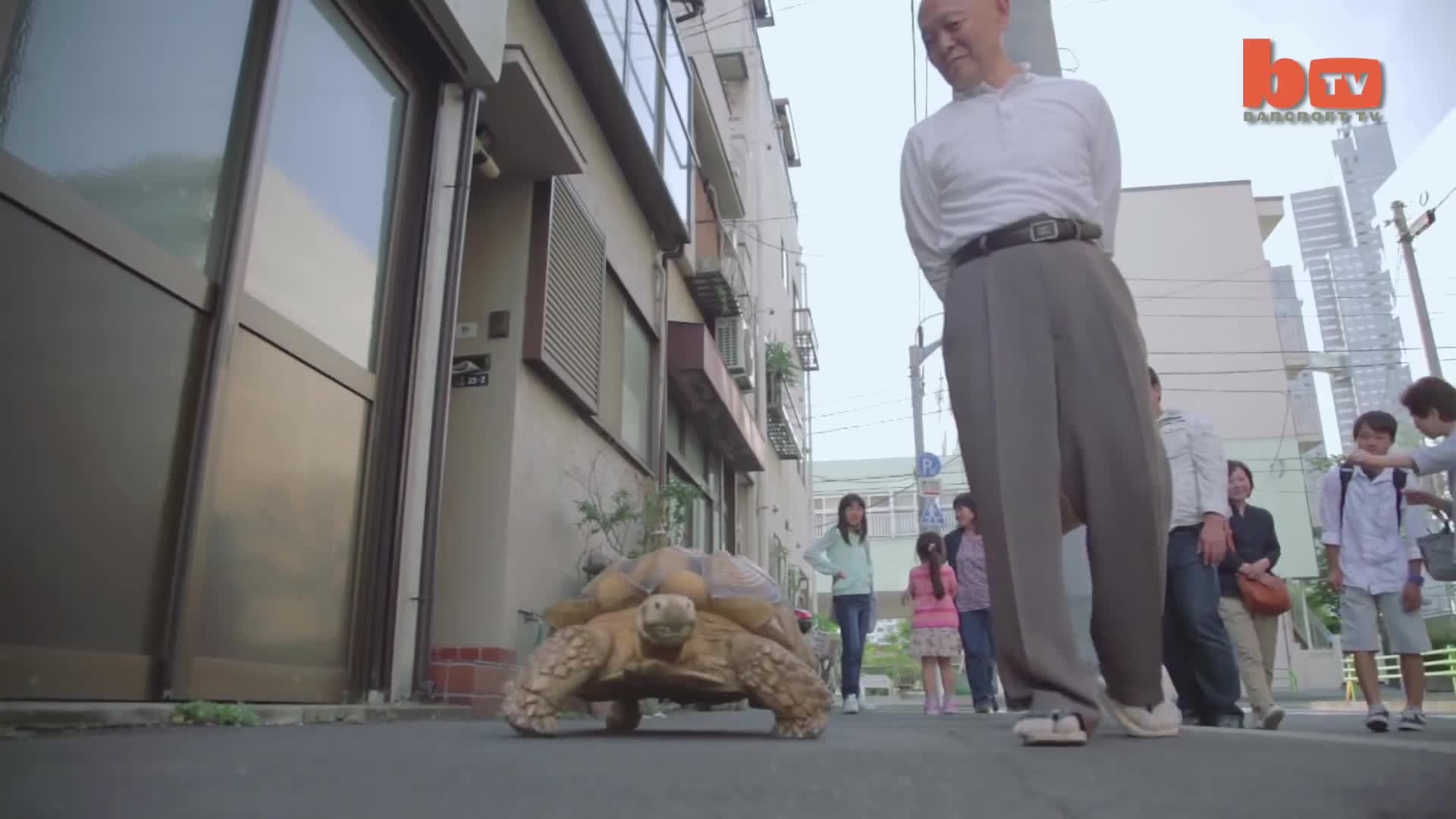 پیر مرد ژاپنی صاحب عجیب ترین حیوان خانگی دنیا